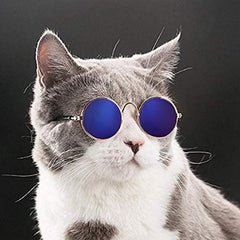 Gafas Para Gatos Cool